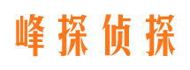 芦山侦探